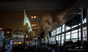 Lord of the Rings invades Wellington airport